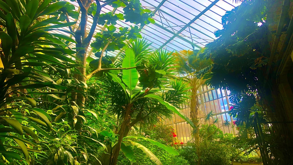 View of Barbican Conservatory