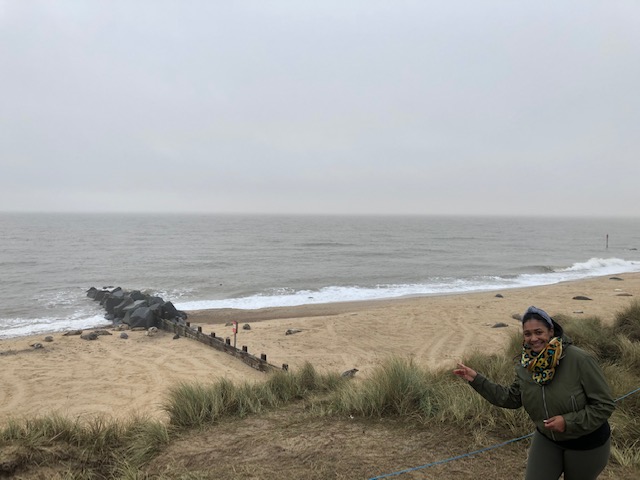 Seals at Horsey Beach Norfolk - Simone Says GO! - Travel Blog