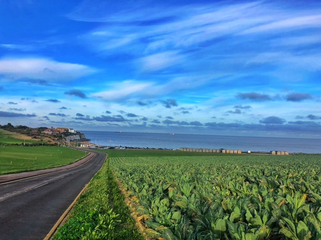 Viking Coastal Trail - Cycling the Isle of Thanet - Simone Says GO! - Travel Blog