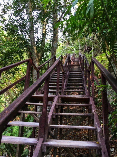 Visiting Tikal without a guide - Simone Says GO! - Travel blog