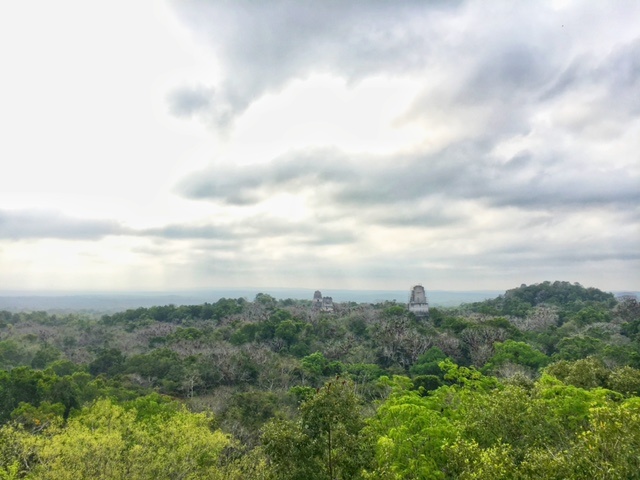 Visiting Tikal without a guide - Simone Says GO! - Travel blog