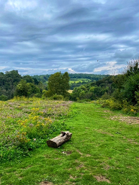 Box Hill Hike - Best Walks in Surrey - Simone Says GO!