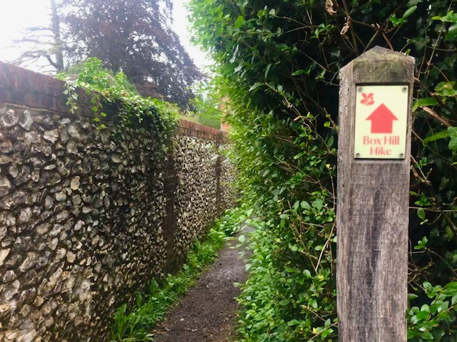 Box Hill Hike - Best Walks in Surrey - Simone Says GO!