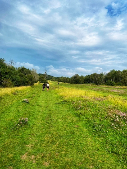 Box Hill Hike - Best Walks in Surrey - Simone Says GO!