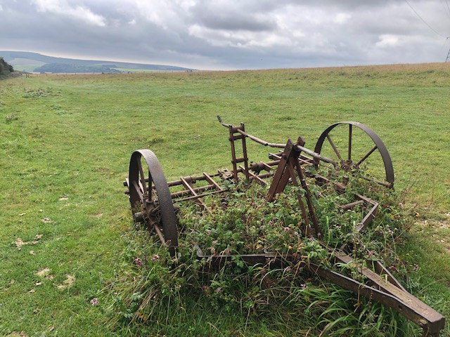 Hassocks to Lewes walk - South Downs Way - Best walks in South Downs