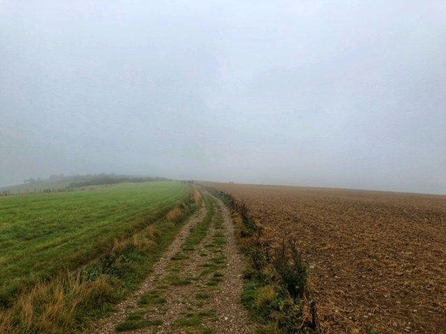 Hassocks to Lewes walk - South Downs Way - Best walks in South Downs