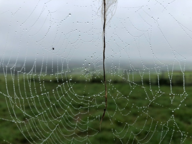 Hassocks to Lewes walk - South Downs Way - Best walks in South Downs