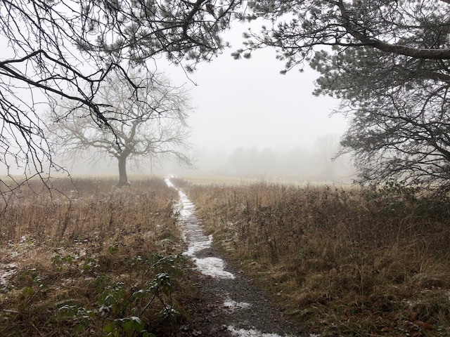 Best walks in Yorkshire Dales in December - Simone Says GO!