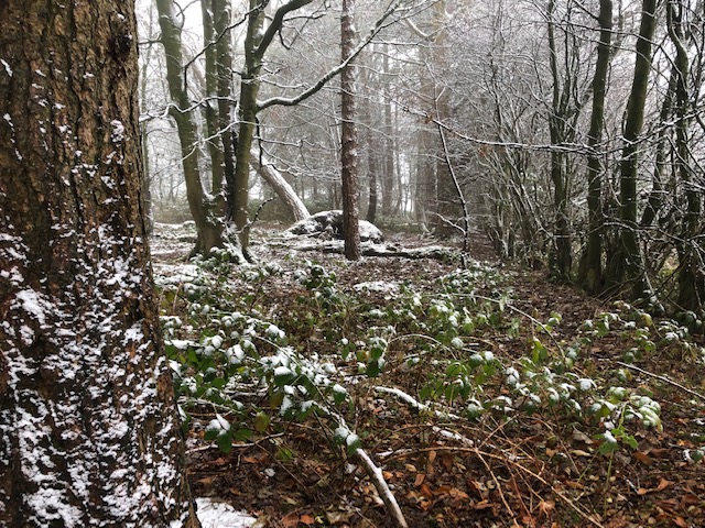 Best walks in Yorkshire Dales in December - Simone Says GO!