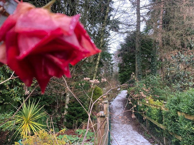 Best walks in Yorkshire Dales in December - Simone Says GO!