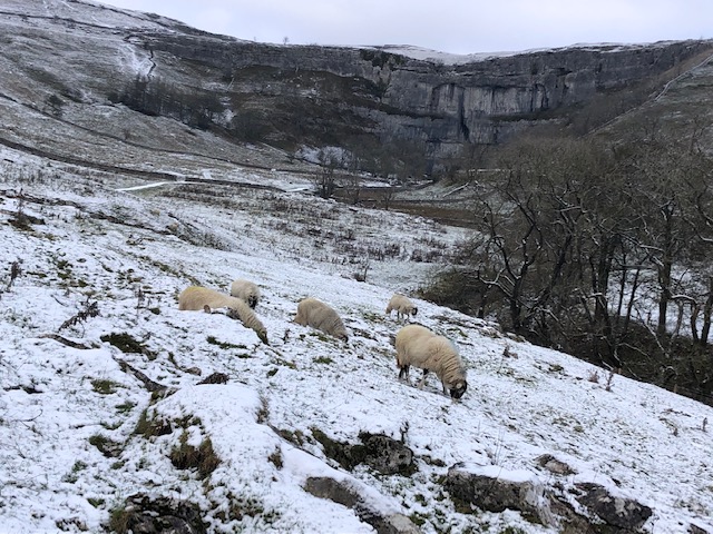 Yorkshire Dales in December - Simone Says GO!