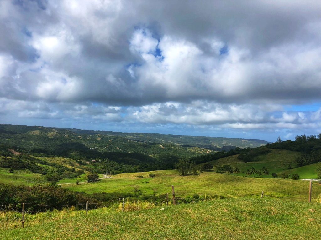 Best things to do in Barbados - Hiking Barbados National Trust  - Simone Says GO! - Travel blog