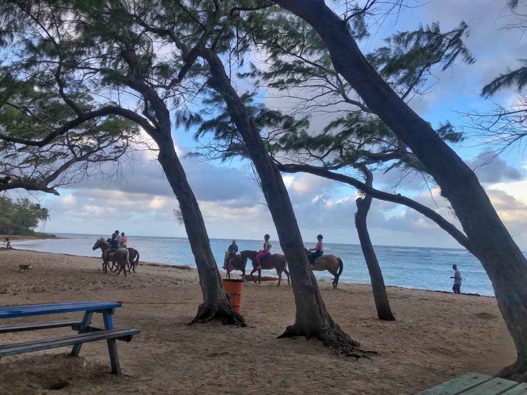 Best things to do in Barbados - Horseback Riding Tour - Simone Says GO! - Travel blog