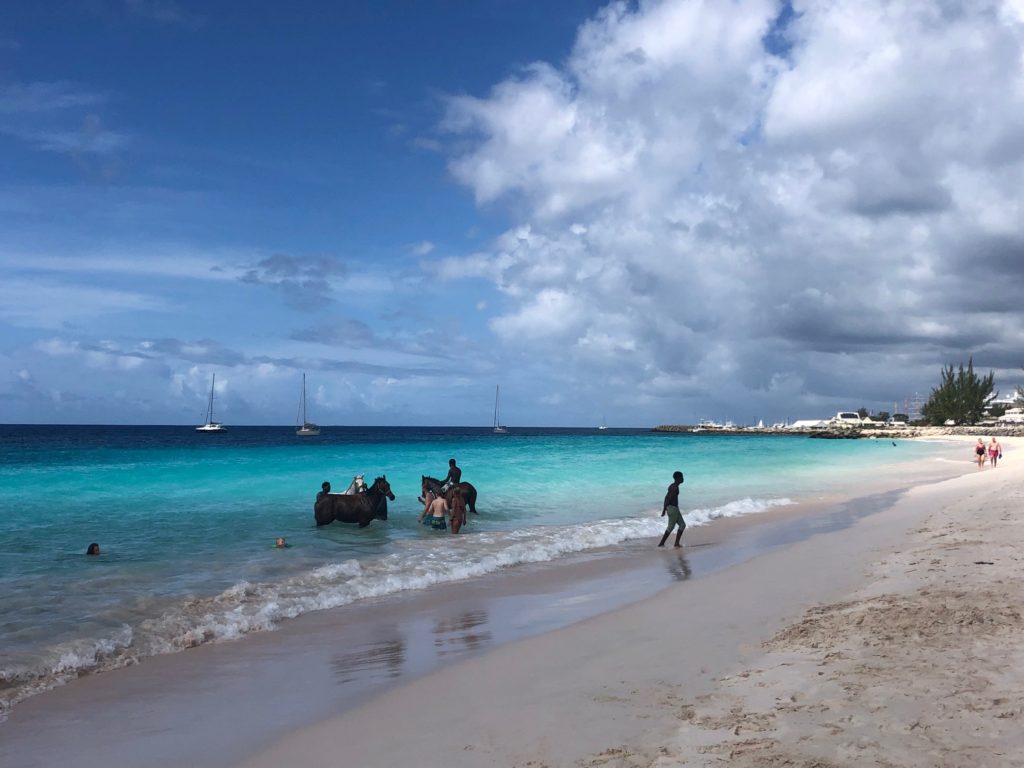 Best things to do in Barbados - Horses Sea Bathing - Simone Says GO! - Travel blog