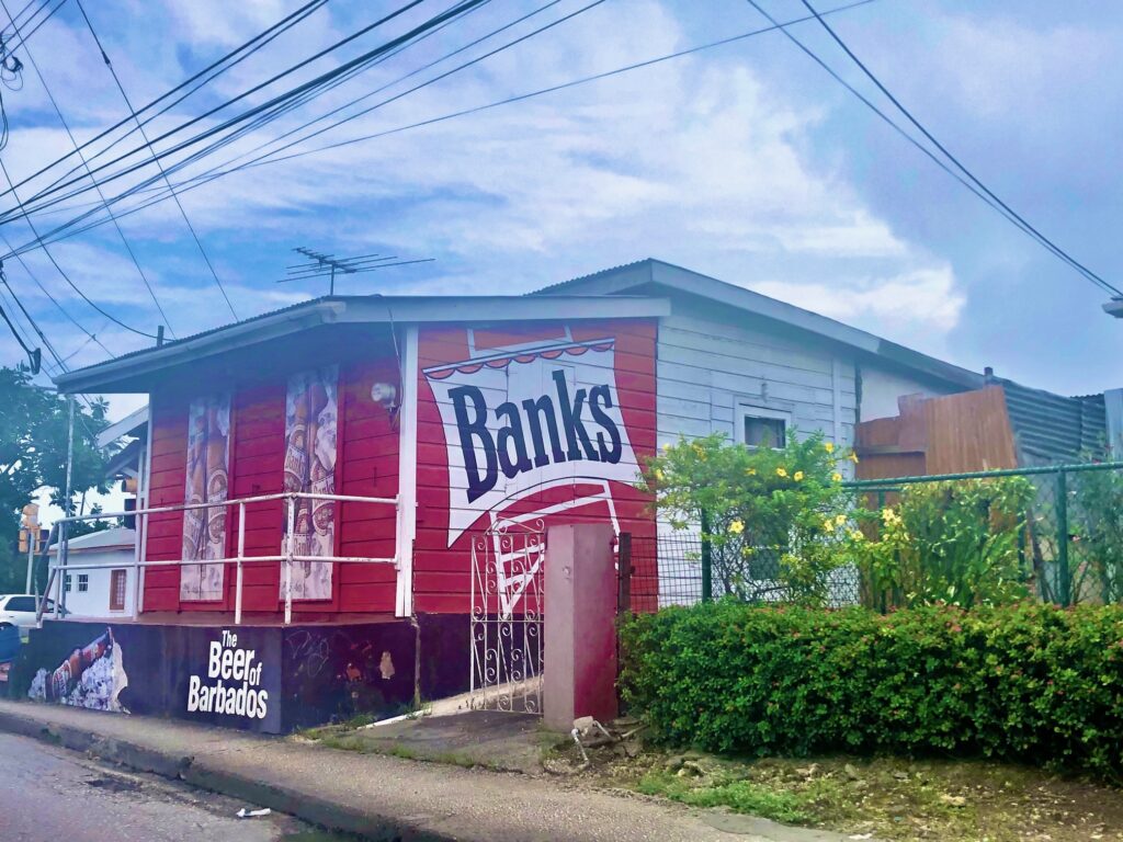 Best things to do in Barbados -Activities to do in Barbados - Simone Says GO! Travel blog