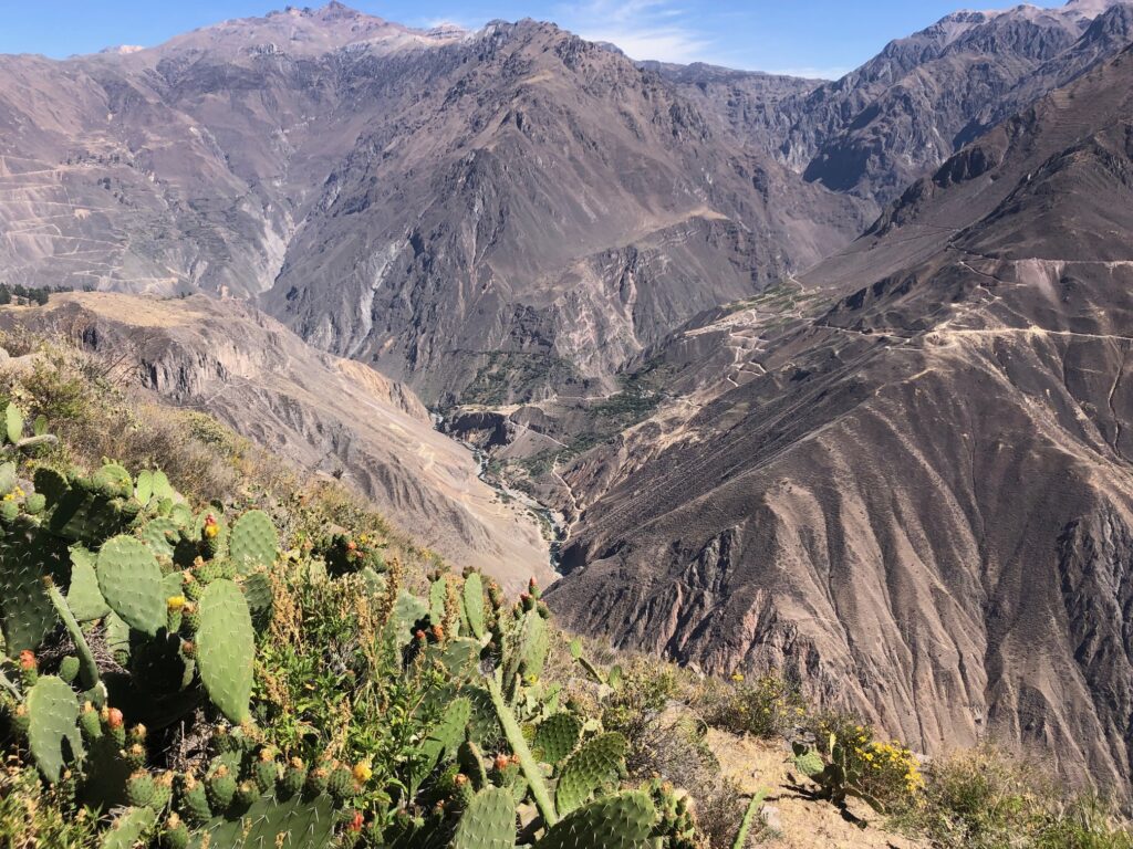 Hiking in Colca Canyon_Llahuar_Peru_Simone Says GO! Travel Blog