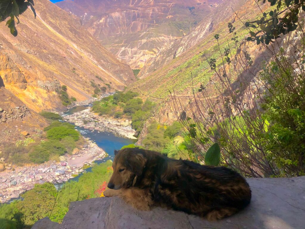 Hiking in Colca Canyon_Llahuar_Peru_Simone Says GO! Travel Blog