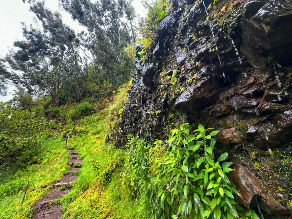 Valley of the Nuns_Nuns Valley_Eira do Serrado to Curral das Freiras_Nuns Path Hike_Madeira_Simone Says GO! Travel Blog