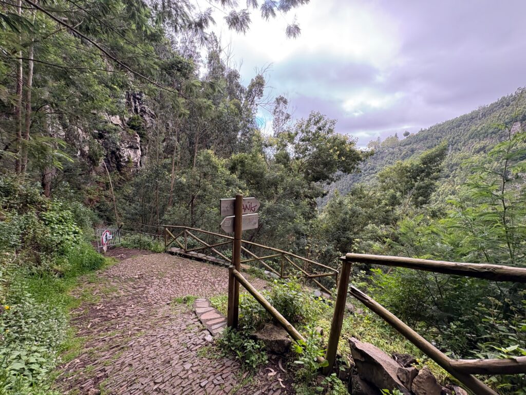 Levada dos Tornos Monte hike_ Levada do Bom Sucesso Closed_Funchal_Madeira_Simone Says GO! Travel Blog