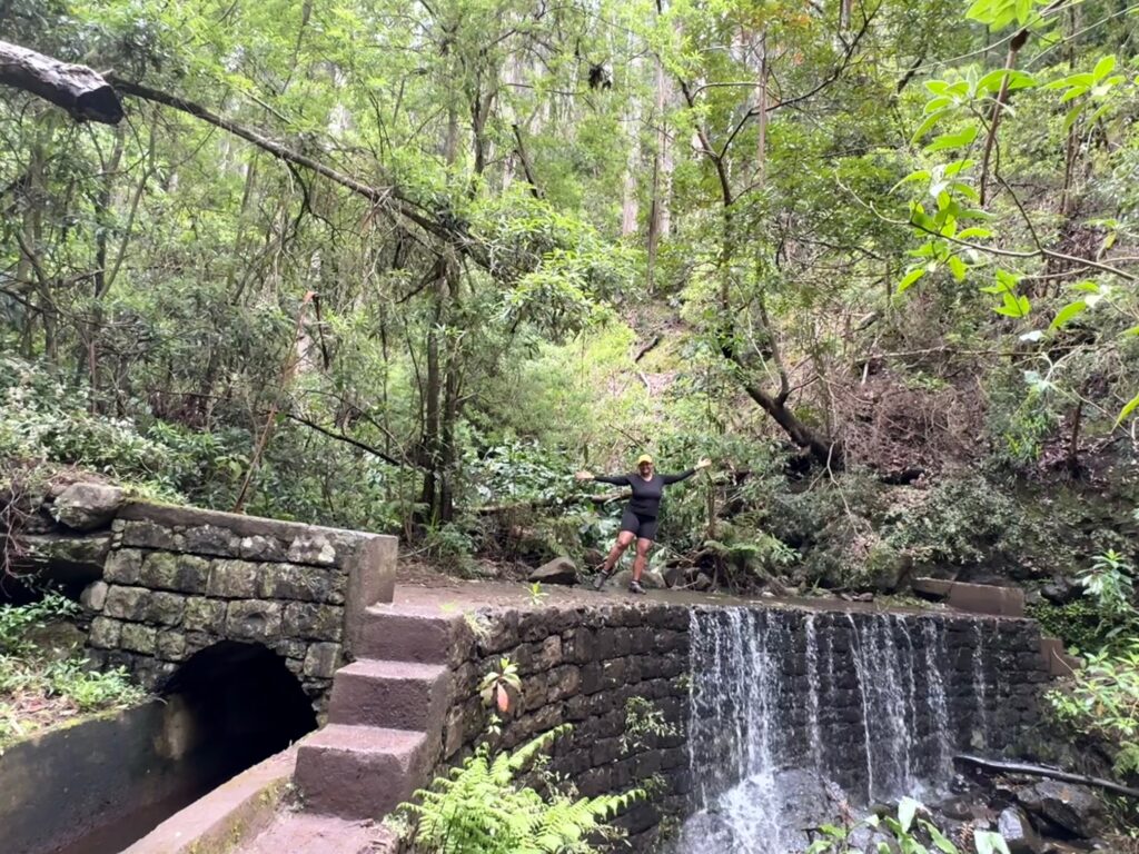Levada dos Tornos Monte hike_Funchal_Madeira_Simone Says GO! Travel Blog