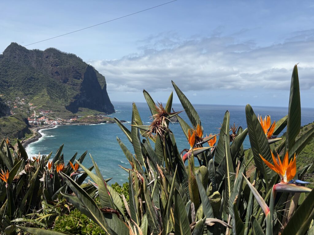 Vereda do Larano Hike_Madeira_Simone Says GO! Travel Blog