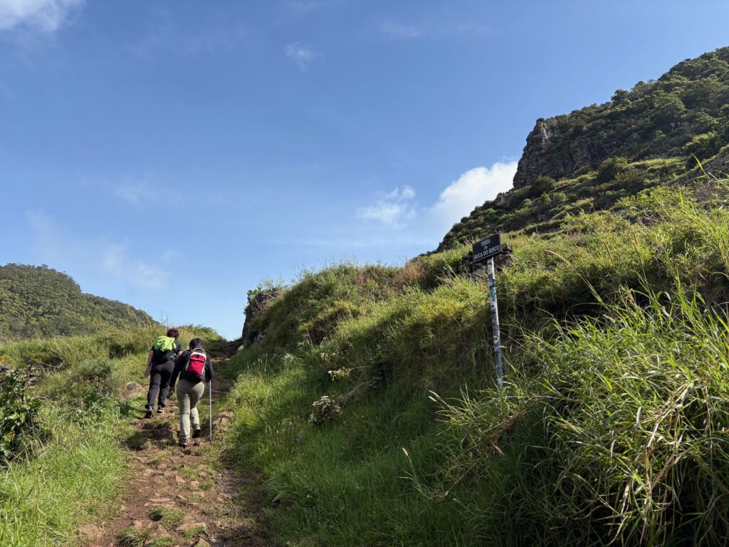 Vereda do Larano Hike_Madeira_Simone Says GO! Travel Blog